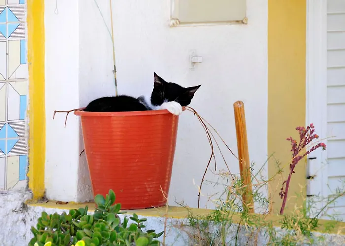 فيلة Charming Private Pool Vale Do Garro 51 *